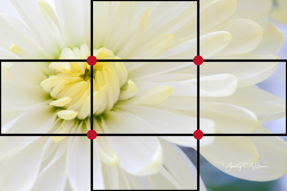 Using The Rule of Thirds in Your Photography | 2nd Square Photography