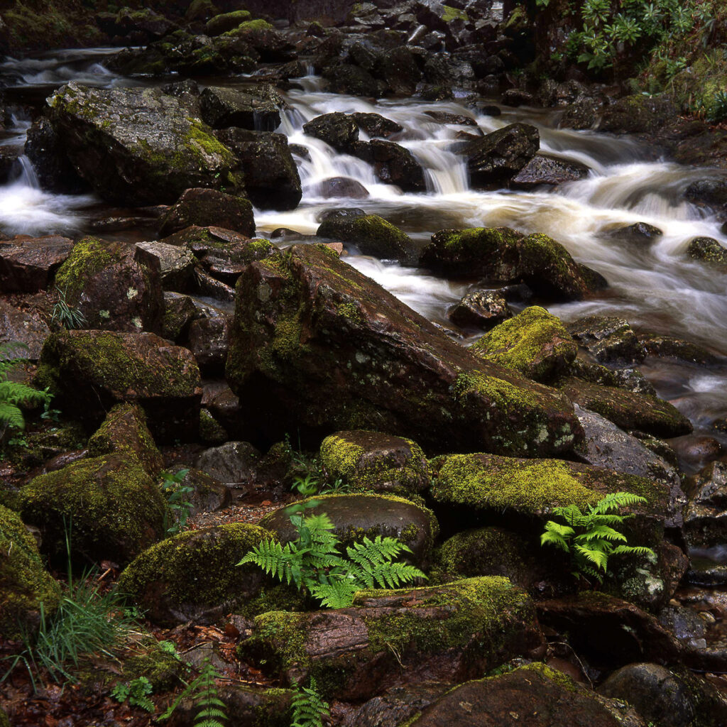 River Lanscape